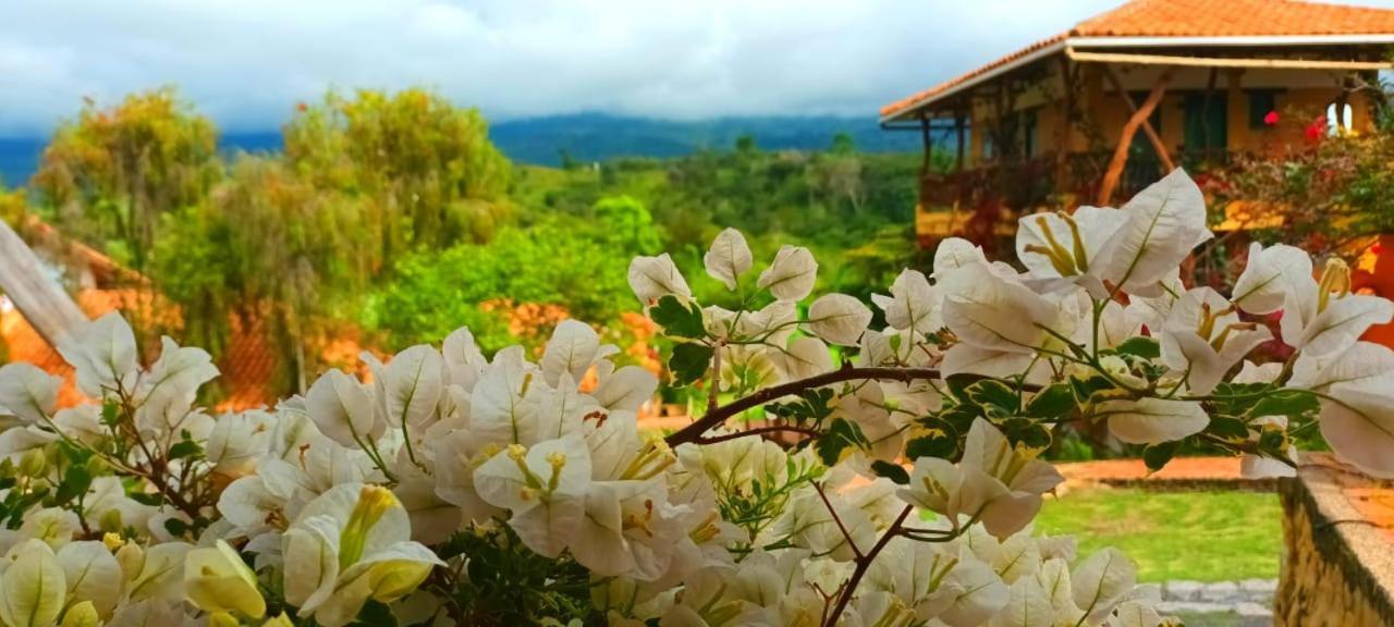 Macua Villa Chipata Eksteriør bilde