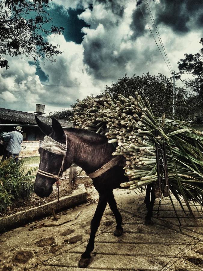 Macua Villa Chipata Eksteriør bilde